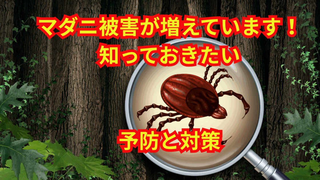 マダニ被害が増えています！知っておきたい予防と対策 | 仕事と自由と勉強と